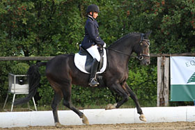 Blackjack LM 01 Blackjack LM 01