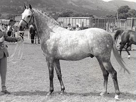 Bwlch Zephyr_pic