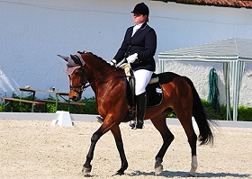 IMG222_280px IMG222_280px