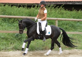 IMG_3403.280px