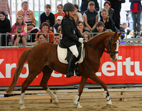 IMG_5439 viola 280px