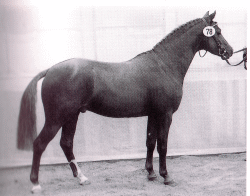 Velten_Vento_-Leonardo