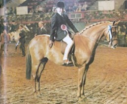 holly of spring3_pic