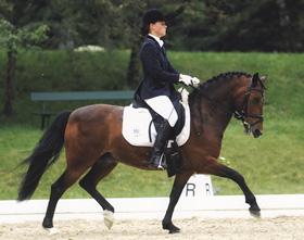 nathan_v_negro_280px1