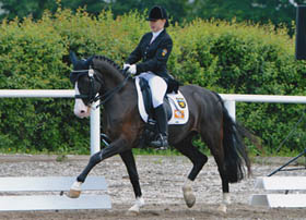 night_and_day_julia_280px