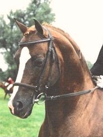 oakley bubbling on_pic