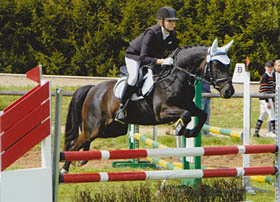 pierrot_springenA 280px