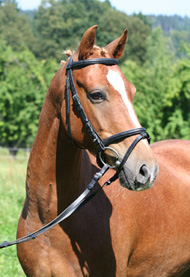 poker star_2_180px_2