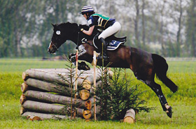 quitti_1_280px quitti_1_280px