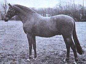 solway north wind_pic