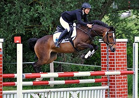 sprung1_280px sprung1_280px