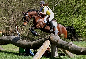 venturio_sandra_vs2_280px venturio_sandra_vs2_280px