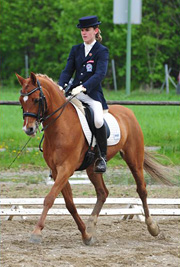 vivaldi 3_180px vivaldi 3_180px