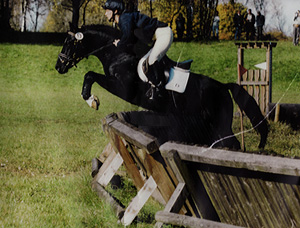 zitnas_Bajazzo_cross