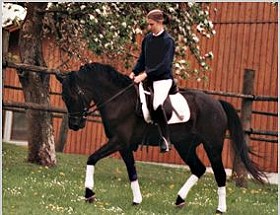 zitnas_dorothy_280px