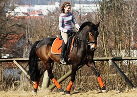 zitnas nachtmelodie_280px 2