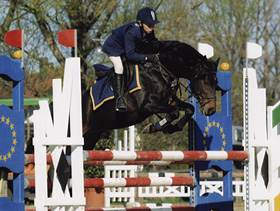 zitnas poker boy 02 280px