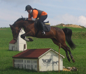 zitnas rapunzel 280px