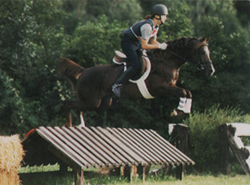 zitnas senator01 280px