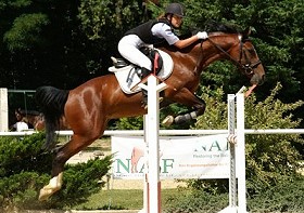 zitnas venturio spr 280px