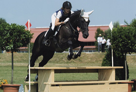 zitnas vincent vs 01 280px