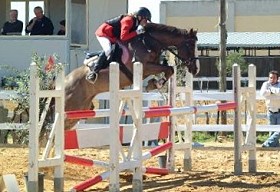 zitnas vito 280px zitnas vito 280px