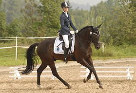 zitnas vivaldi_280px_2 zitnas vivaldi_280px_2