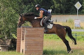 zitnas eliza gel a 280px