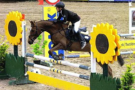 zitnas golden sunflower 280px